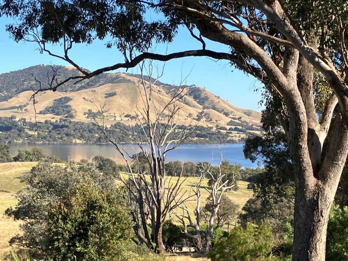 Burnt Creek Cottages Mansfield Exteriör bild