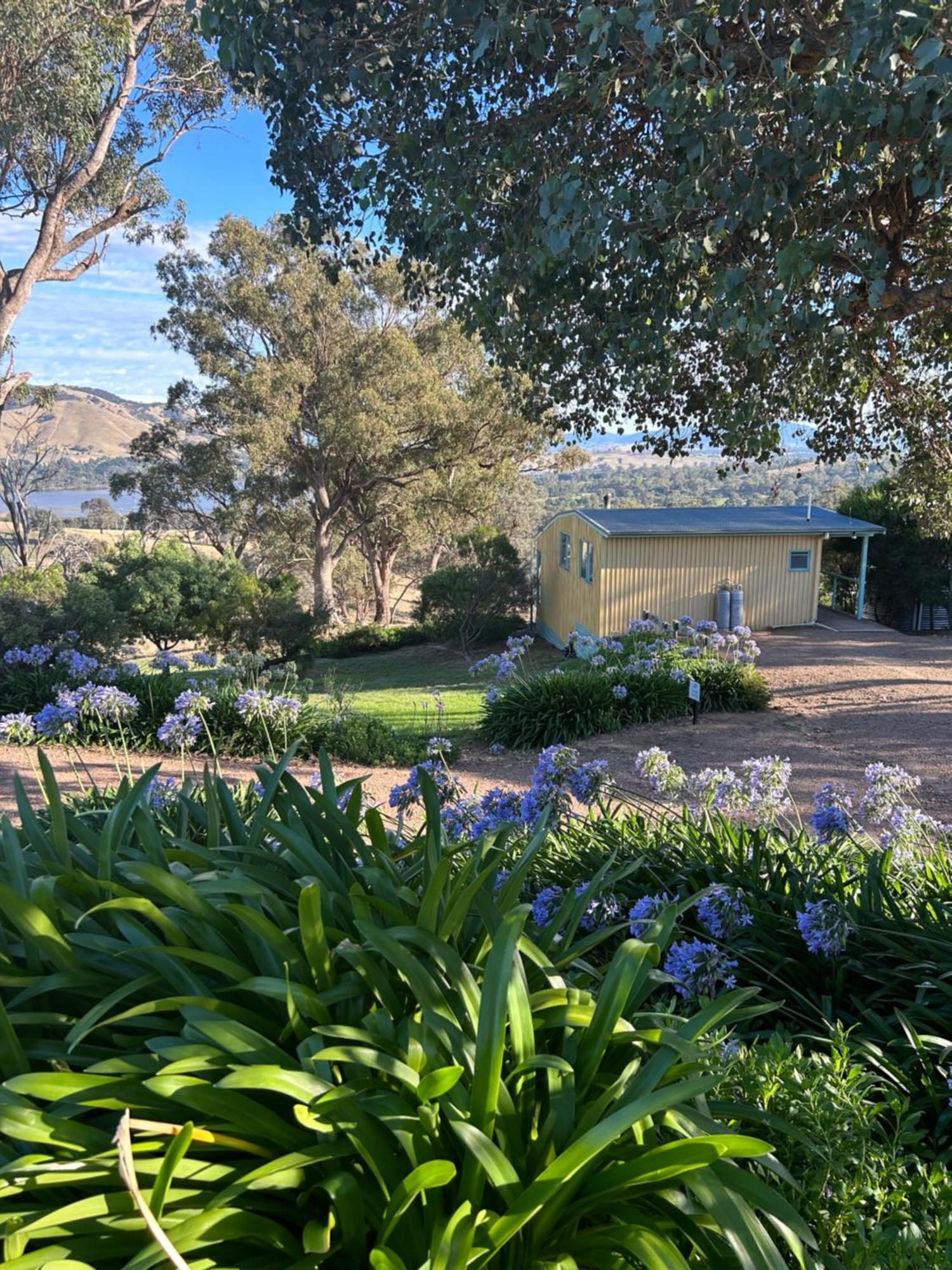 Burnt Creek Cottages Mansfield Exteriör bild