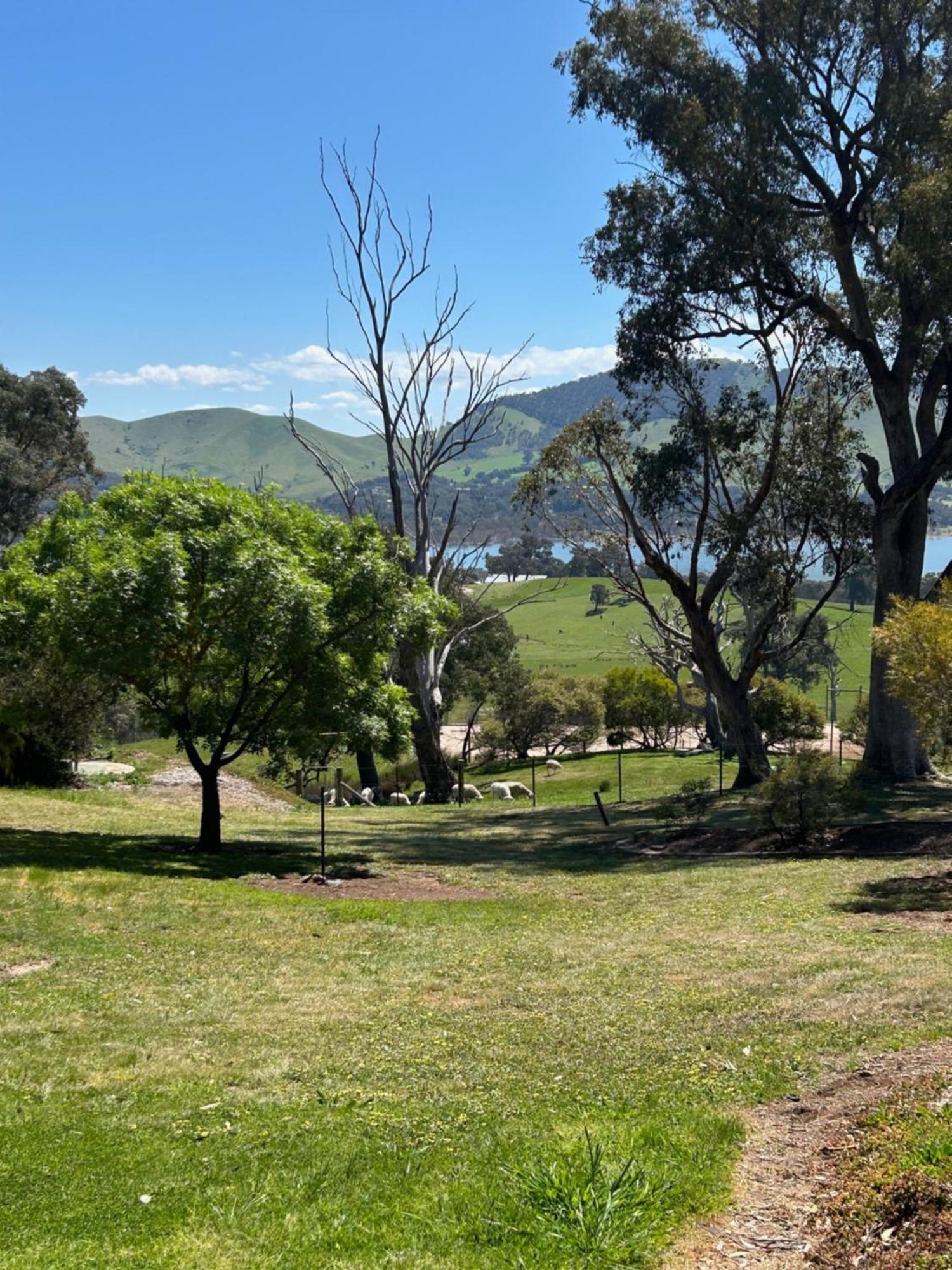 Burnt Creek Cottages Mansfield Exteriör bild