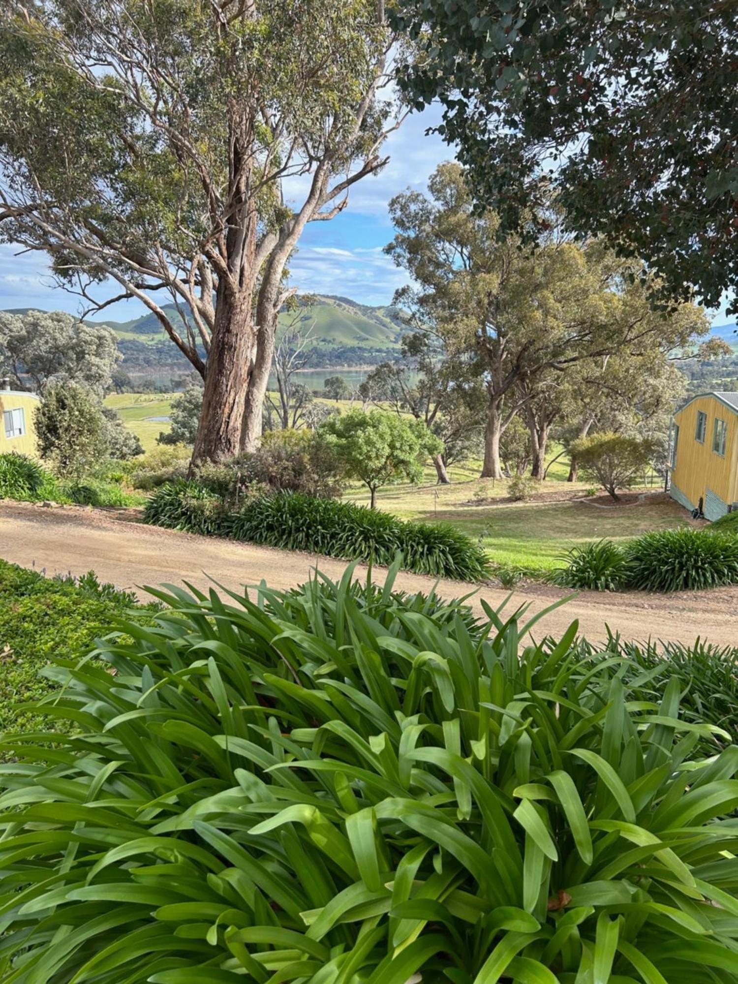 Burnt Creek Cottages Mansfield Exteriör bild
