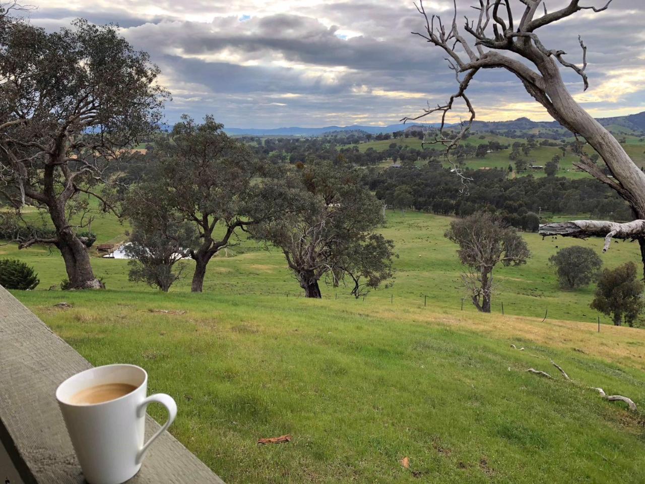 Burnt Creek Cottages Mansfield Exteriör bild