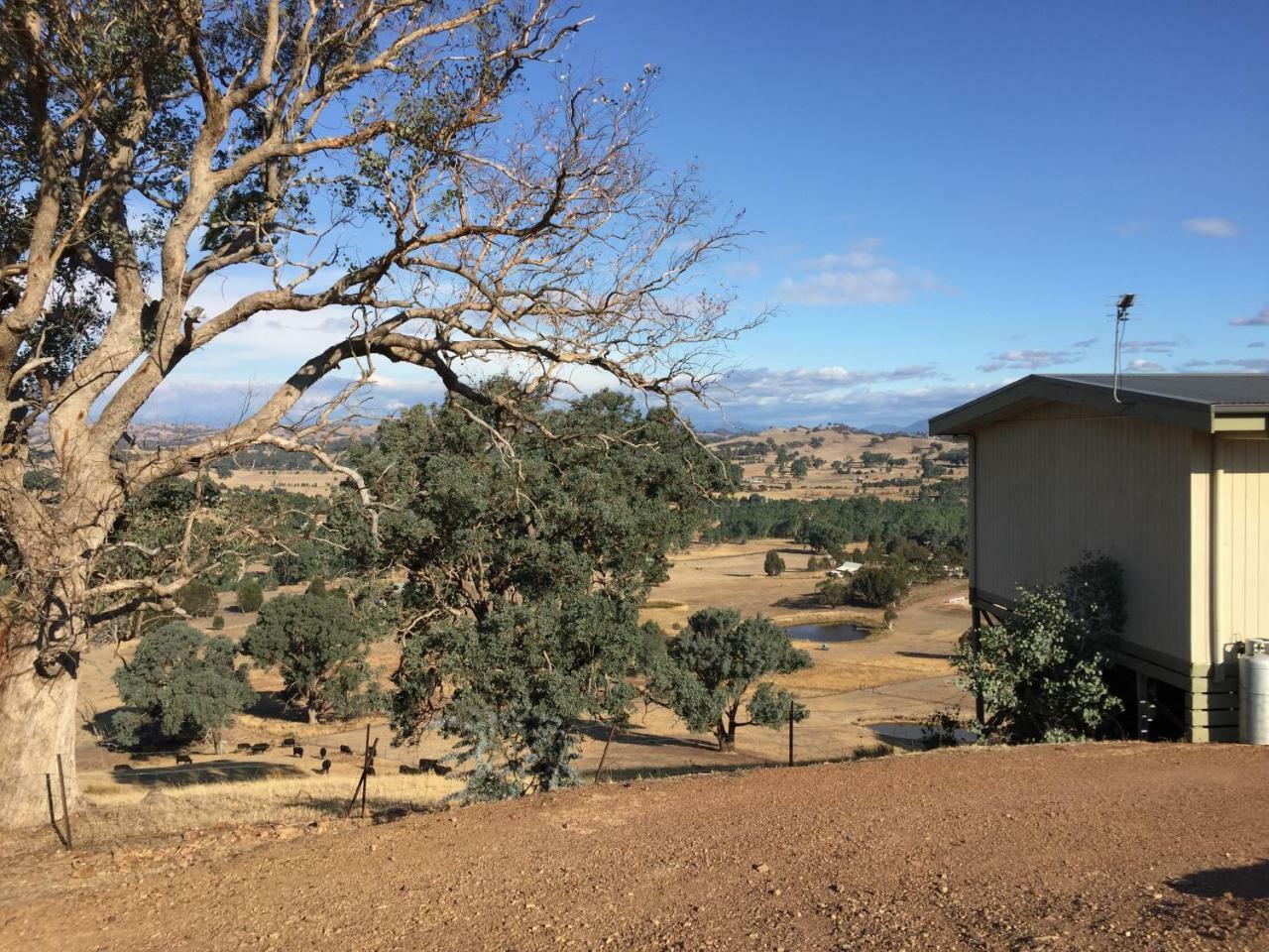 Burnt Creek Cottages Mansfield Exteriör bild