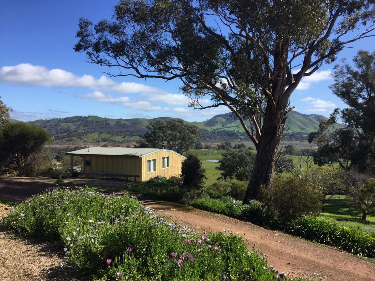 Burnt Creek Cottages Mansfield Exteriör bild