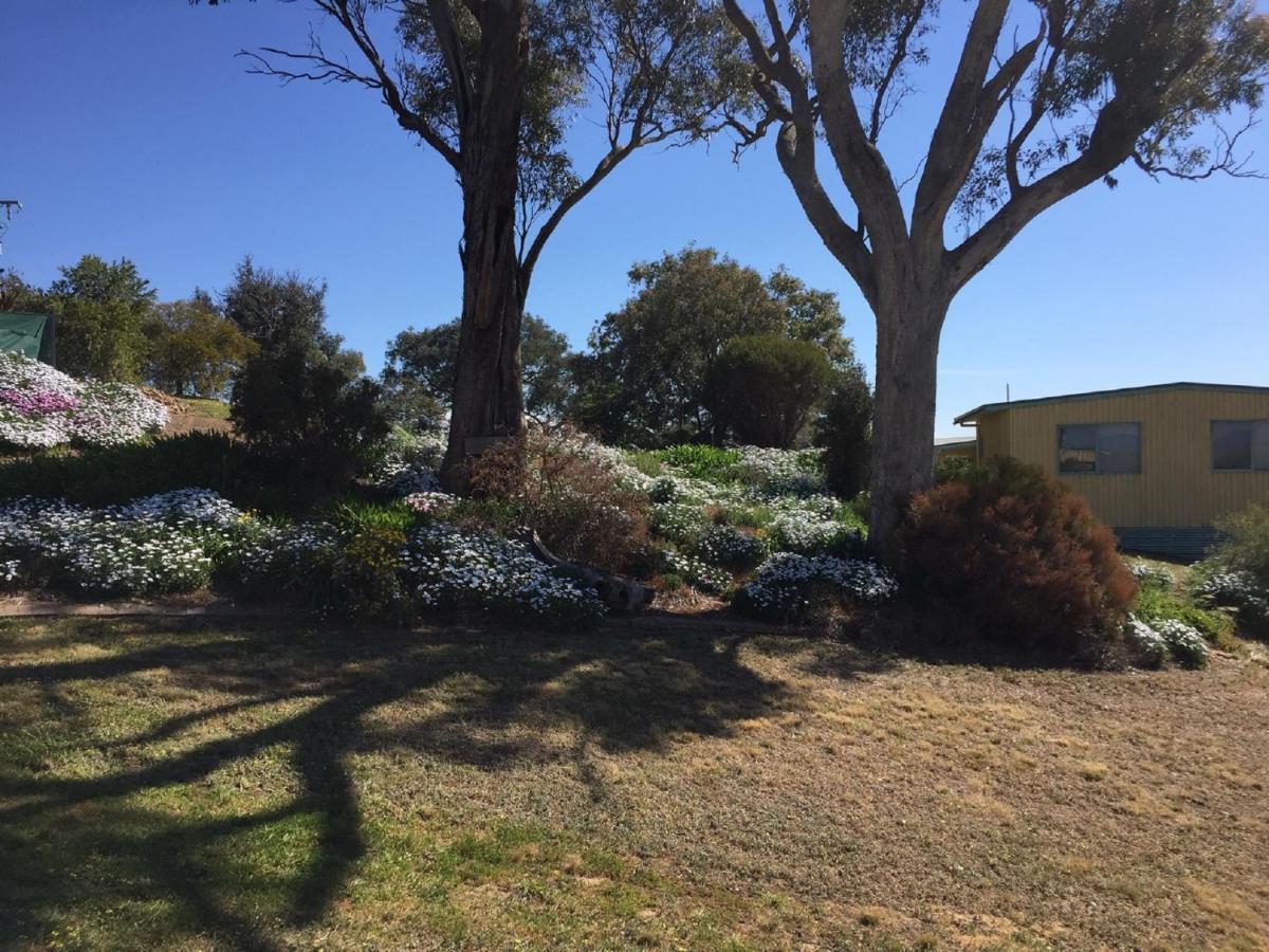 Burnt Creek Cottages Mansfield Exteriör bild